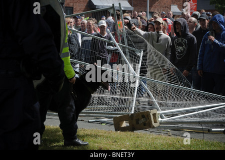 Difesa inglese League (EDL) manifestanti distruggere una recinzione in un tentativo di rompere con la polizia e scoraggiati dalla polizia cane Foto Stock