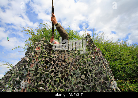 Un uomo fuori la possibilità di sparare ai piccioni con un fucile da caccia al di sopra delle stoppie di pisello da dietro un nascondere in Norfolk. Foto Stock