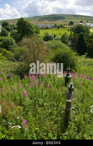 Incolto cimitero accanto al Centro del Patrimonio Mondiale in Blaenavon Lancaster Galles del Sud delle Valli REGNO UNITO Foto Stock