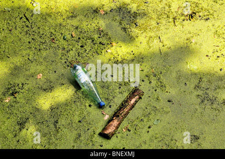 Scartato utilizzato la bottiglia di plastica sulla superficie dell'acqua coperto di lenticchie d'acqua Foto Stock