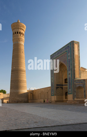 Minareto Kalon Kalon e moschea a Bukhara in Uzbekistan la Via della Seta Foto Stock