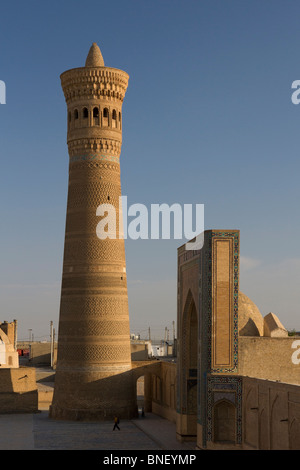 Torreggiante minareto Kalon a Bukhara Foto Stock