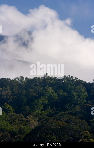 Vista del Monte Kinabalu, Sabah, Malaysia Foto Stock