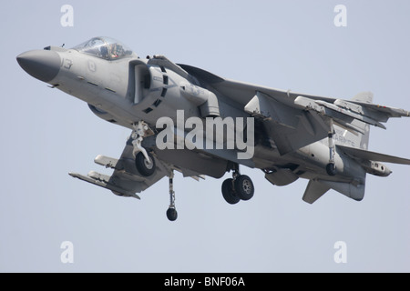 Un Harrier, AV-8B del US Marine Corps. Foto Stock