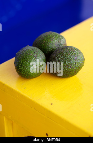 Frutto di avocado (Persea americana) su una tabella di colore giallo in Guatemala Foto Stock