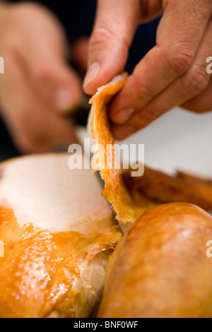 Cena di tacchino Foto Stock