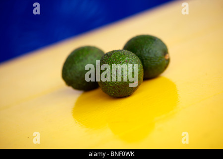 Frutto di avocado (Persea americana) su una tabella di colore giallo in Guatemala Foto Stock