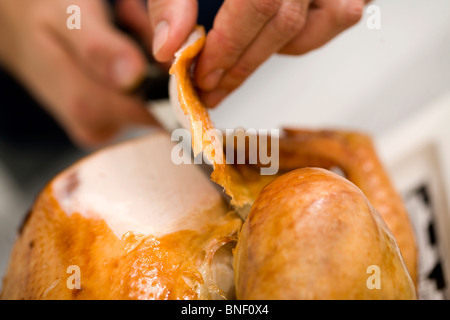 Cena di tacchino Foto Stock