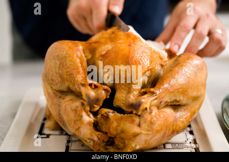Cena di tacchino Foto Stock