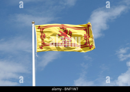 Il giallo e il rosso Scottish leone rampante battenti bandiera contro un cielo azzurro con poche nuvole bianche Foto Stock