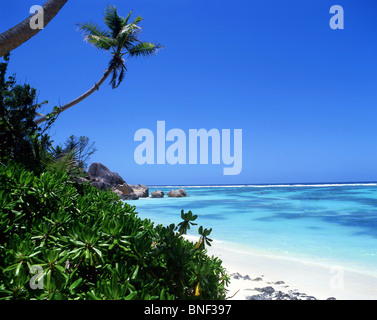 Anse Source d'Argent Beach, La Digue, Repubblica di Seychelles Foto Stock