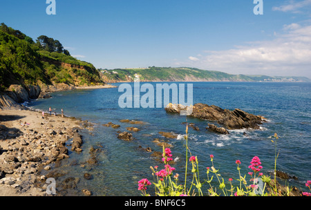 Costa al looe in Cornwall Inghilterra Regno Unito Foto Stock