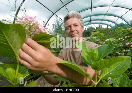 Nick Macer a sua Pan-Global vivaio piante, Frampton corte, Glos. Regno Unito Foto Stock