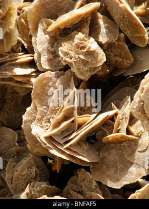 Desert Rose, Tunisia Foto Stock