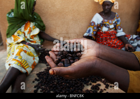 Una donna che tiene una manciata di noci di karité al Dembayouma shea centro di elaborazione nel villaggio di Bankoumana, vicino a Bamako, in Mali Foto Stock