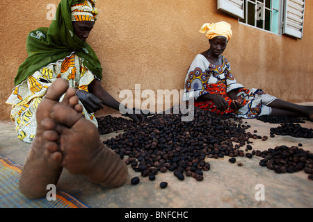 Donne ordina karité al Dembayouma shea centro di elaborazione nel villaggio di Bankoumana, vicino a Bamako, in Mali Foto Stock