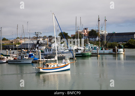 La pesca barche e yacht in barca da pesca nel porto di Eureka, California. Foto Stock