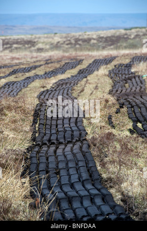 La macchina taglia turf essiccamento in una torbiera in Mayo Irlanda Foto Stock