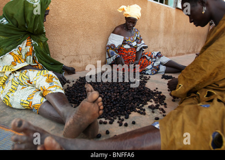 Donne ordina karité al Dembayouma shea centro di elaborazione nel villaggio di Bankoumana, vicino a Bamako, in Mali Foto Stock