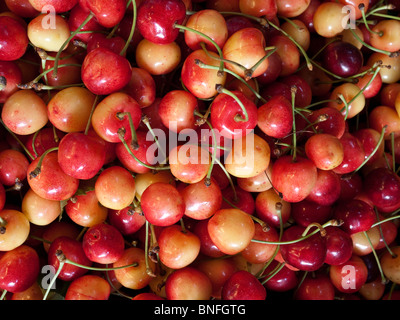 Le ciliegie sul mercato in stallo Wroclaw, Polonia Foto Stock