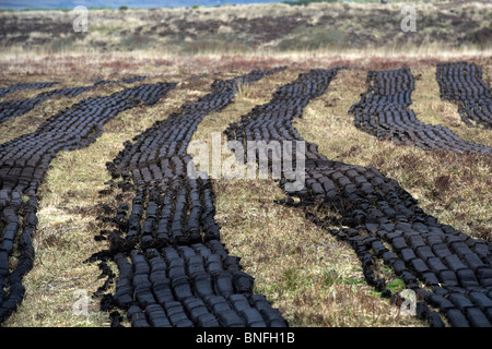 La macchina taglia turf essiccamento in una torbiera in Mayo Irlanda Foto Stock