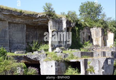 Resti di cave a St Meme les Carrières, Charente, SW FRANCIA Foto Stock