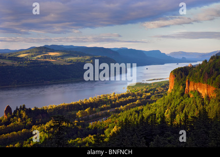 Luce della Sera bagna Rooster Rock e dell'Oregon Casa Vista sulla cima di Crown Point nella Columbia River Gorge. Foto Stock