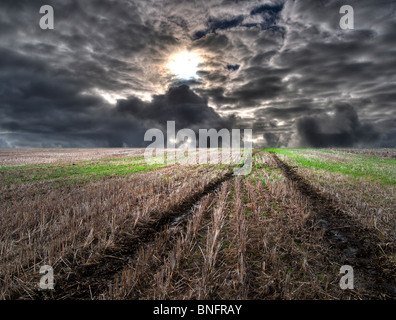 Tracce di pneumatici fare una strada fangosa in un grande campo di erba con drammatica sky e illuminazione. Foto Stock