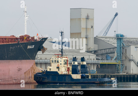 Rimorchiatore Willowgarth assistere portarinfuse Okialos, Belfast Harbour. Foto Stock