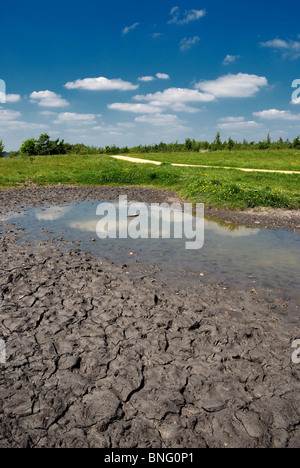 Piccolo stagno asciugando fuori in clima caldo Foto Stock