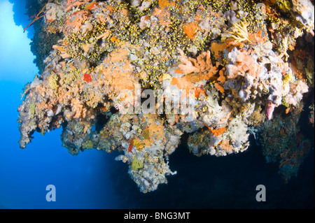 La formazione rocciosa nel Mediterraneo, Croazia Foto Stock