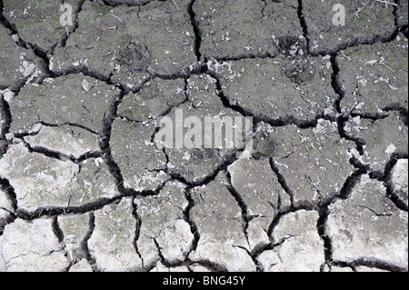 Essiccato fino pond England Regno Unito Foto Stock