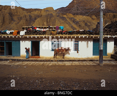 La strada principale di Jomosom, il centro amministrativo della regione di Mustang in Nepal occidentale Foto Stock