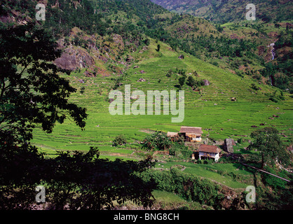 Dark frame rami cascine e campi terrazzati su una collina sopra il fiume Tamur nella regione Kangchenjunga dell est del Nepal Foto Stock