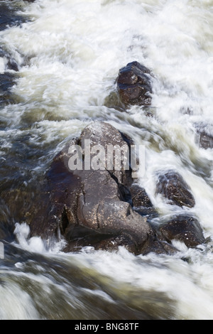 Infuria il flusso di acqua del fiume di montagna, verticalmente Foto Stock