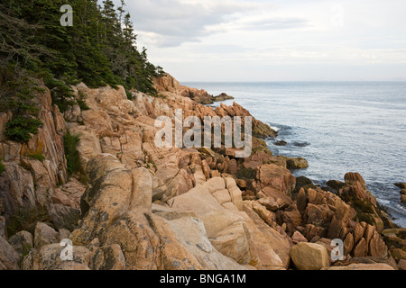 Porto basso Testa, Parco Nazionale di Acadia, Maine Foto Stock