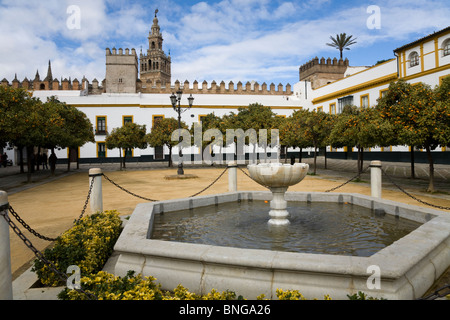 Torre Giralda da accanto alla fontana di acqua / laghetto in El Patio de Banderas / Plaza Patio de Banderas, Siviglia / Sevilla. Spagna. Foto Stock