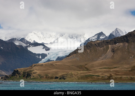 La vista delle montagne attorno al re Edward Cove, off Grytviken sull Isola Georgia del Sud Foto Stock