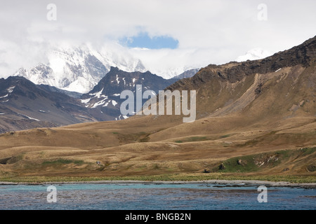 La vista delle montagne attorno al re Edward Cove, off Grytviken sull Isola Georgia del Sud Foto Stock