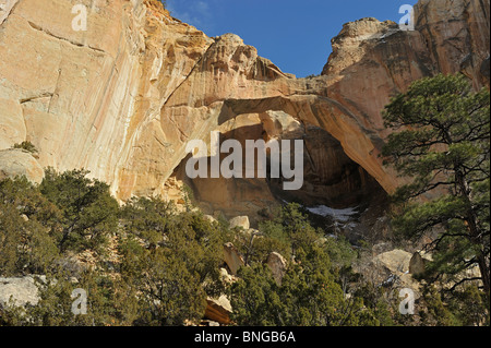 La ventana Arco Naturale in El Malpais monumento nazionale, Nuovo Messico Foto Stock