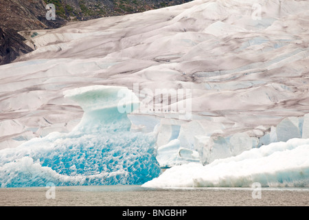 Stati Uniti d'America; Alaska; Juneau; Mendenhall Glacier Foto Stock