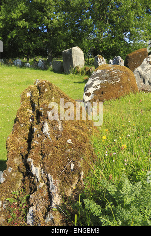 Grange cerchio di pietra nella contea di Limerick, Rep. Irlanda. Foto Stock