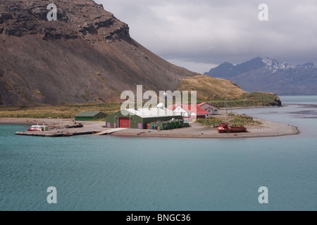 Il British Antarctic Survey stazione King Edward Point, sull Isola Georgia del Sud. Foto Stock