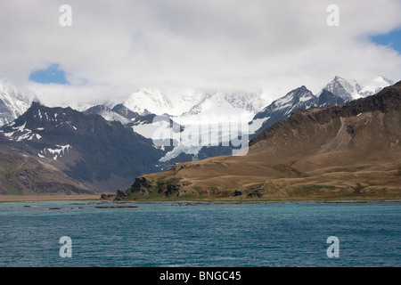 La vista delle montagne attorno al re Edward Cove, off Grytviken sull Isola Georgia del Sud Foto Stock