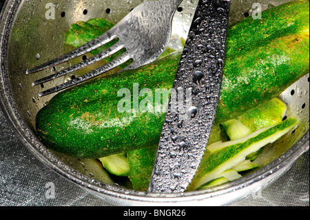 Cetriolo, stil life, senza additivi chimici, senza ogm, gastronomia, Foto Stock