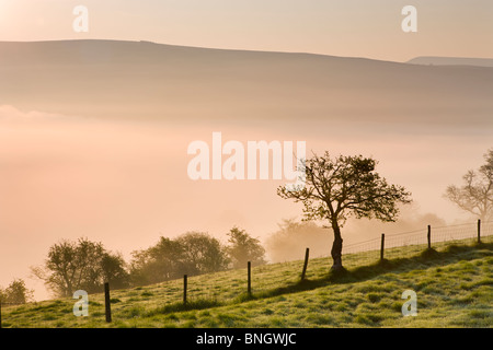 Coltre di nebbia viene tinto con i colori del tramonto nella valle sotto Cefn Moel, Parco Nazionale di Brecon Beacons, POWYS, GALLES Foto Stock