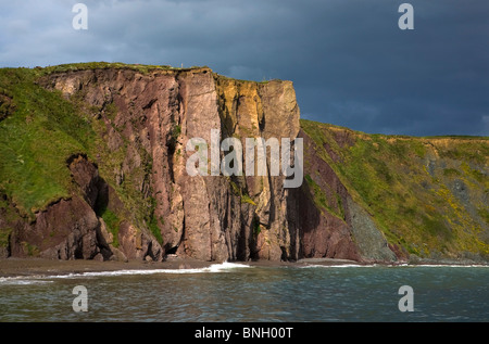 Ballydowane Cove sulla costa di rame Geopark, vicino Bunmahon, nella contea di Waterford, Irlanda Foto Stock