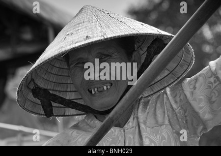 Delta del Mekong & Paddy Campo funziona, il Delta del Mekong, Vietnam Foto Stock