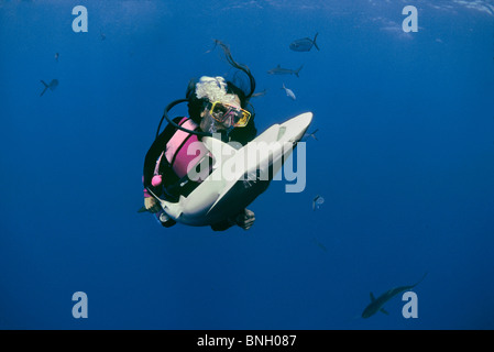 Sommozzatore mantiene lo squalo seta (Carcharhinus falciformis) in immobilità tonica, Bahamas - Mar dei Caraibi. Foto Stock