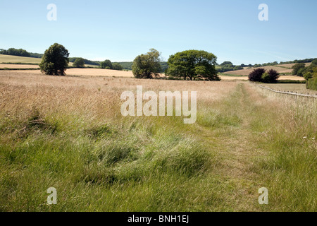 Campagna inglese, Lyminge vicino a Folkestone nel Kent, Regno Unito Foto Stock